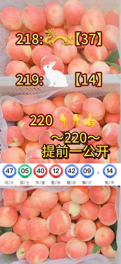 资料大全正版资料免费澳门正版资料,真实经典策略设计_VR型43.237