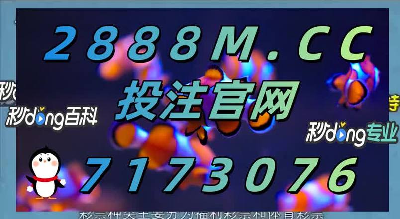 不用网络的双升游戏,真实经典策略设计_VR型43.237