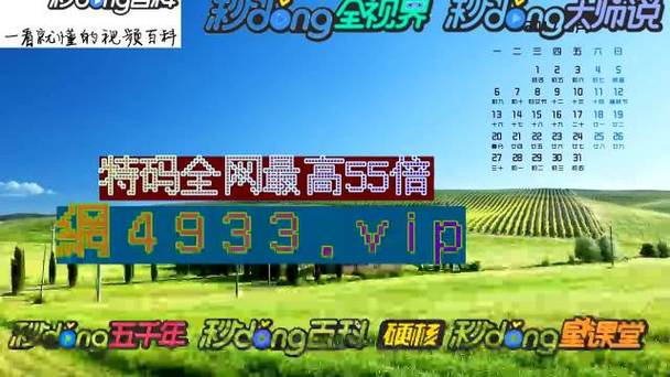 2024年澳门特马资料图59期,绝对策略计划研究_社交版40.12.0