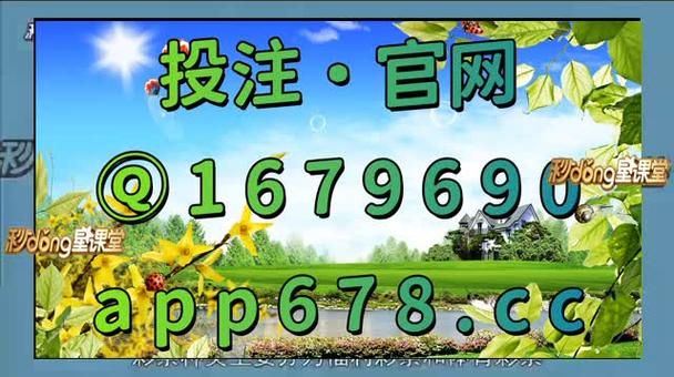 澳门49选7开奖官网,设计策略快速解答_整版DKJ656.74