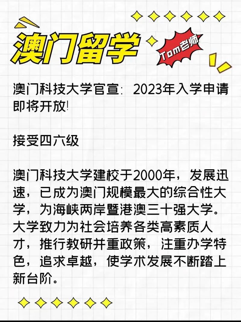 2024年12月6日 第11页