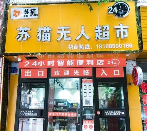 成人用品超市24小时无人自助售卖店怎么样,真实经典策略设计_VR型43.237