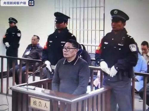 公职人员贩毒被执行死刑,设计策略快速解答_整版DKJ656.74