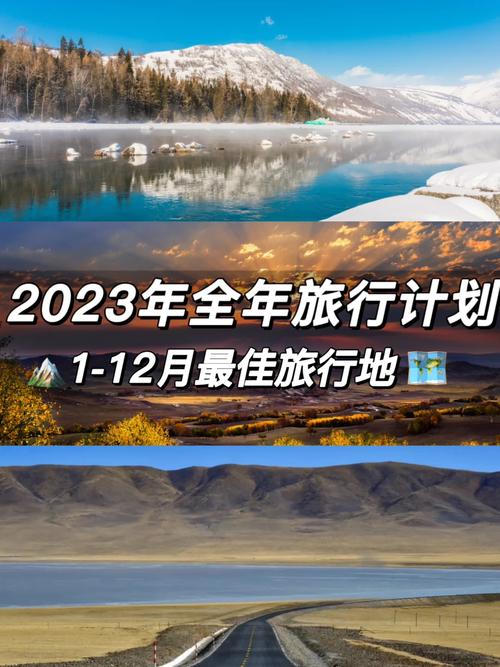 2023澳门全年资料免费看,绝对策略计划研究_社交版40.12.0