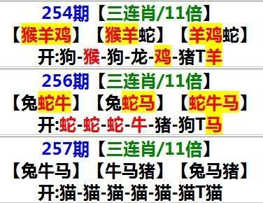 澳门马资料大全正版资料查询?,绝对策略计划研究_社交版40.12.0