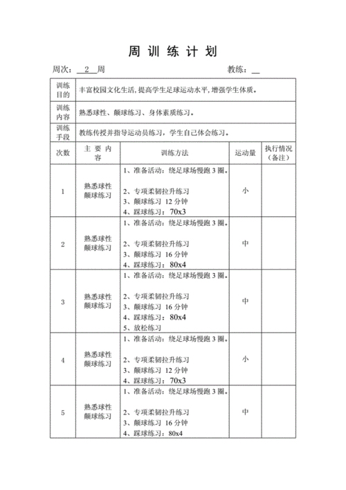 体育赛事足球比赛,绝对策略计划研究_社交版40.12.0