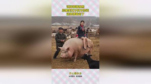 管家婆期期四肖四码中特管家和9岁男孩骑猪上学与9岁男孩骑猪上学视频
